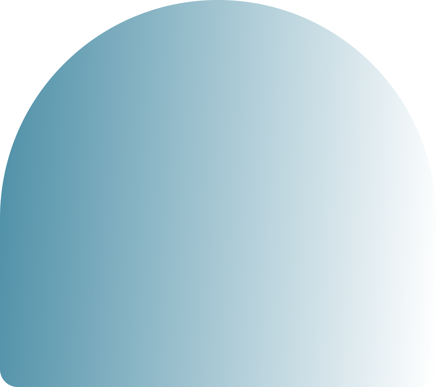Professional Cleaning Team