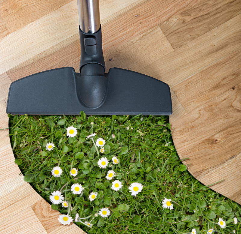 Cleaning Service 2