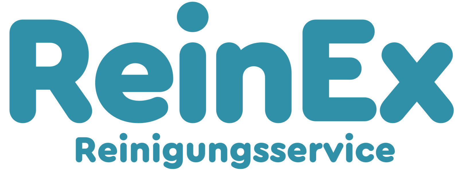 ReinEx Logo