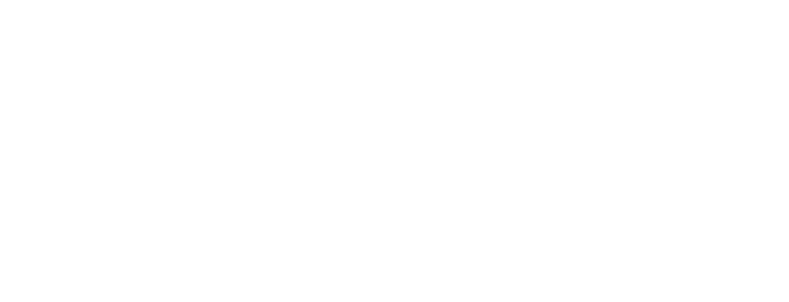 ReinEx Logo